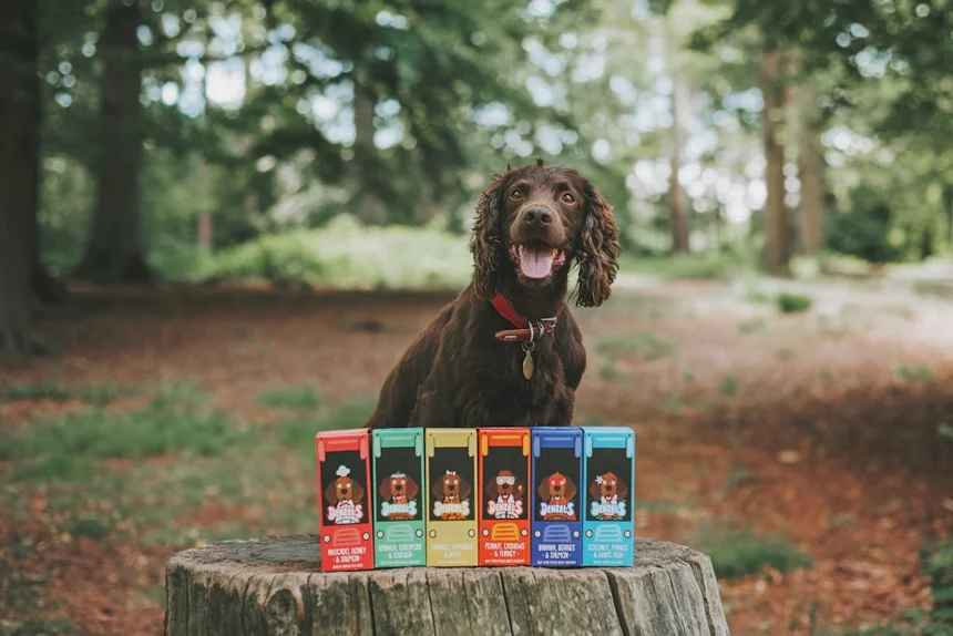 강아지수제간식 레시피로 사랑받기