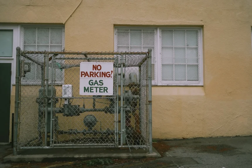 강아지안전문 선택 가이드와 사용 팁