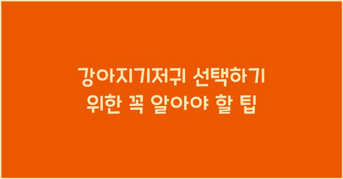 강아지기저귀 선택하기 위한 꼭 알아야 할 팁