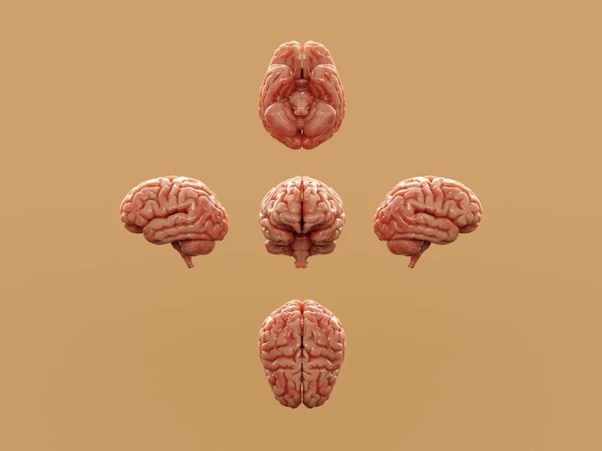Brain games