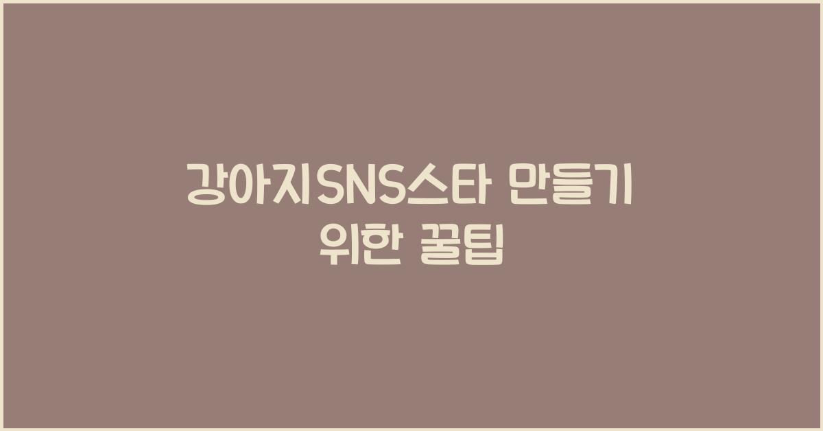 강아지SNS스타 만들기 위한 꿀팁