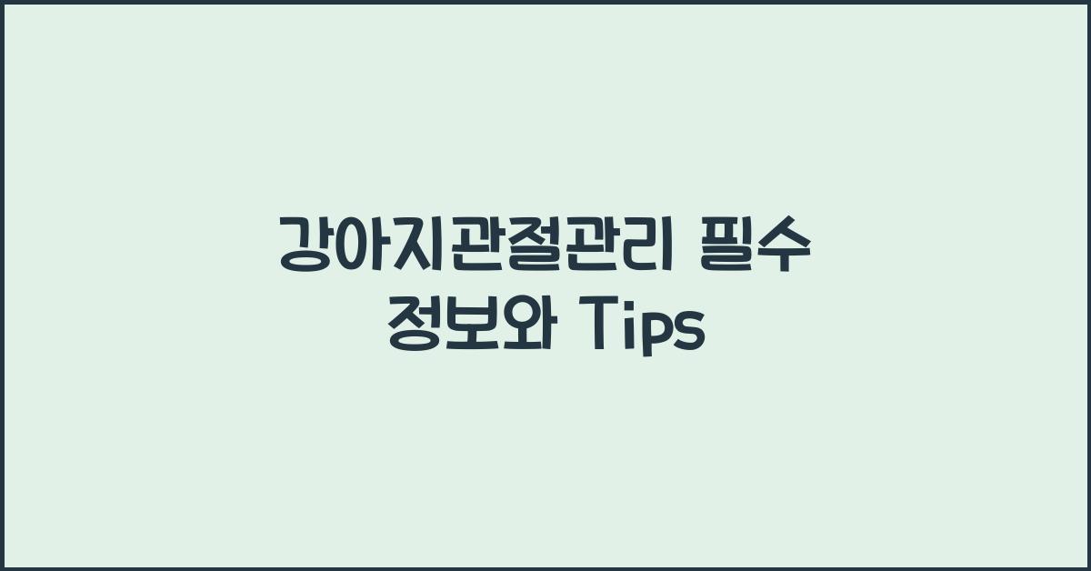 강아지관절관리 필수 정보와 Tips