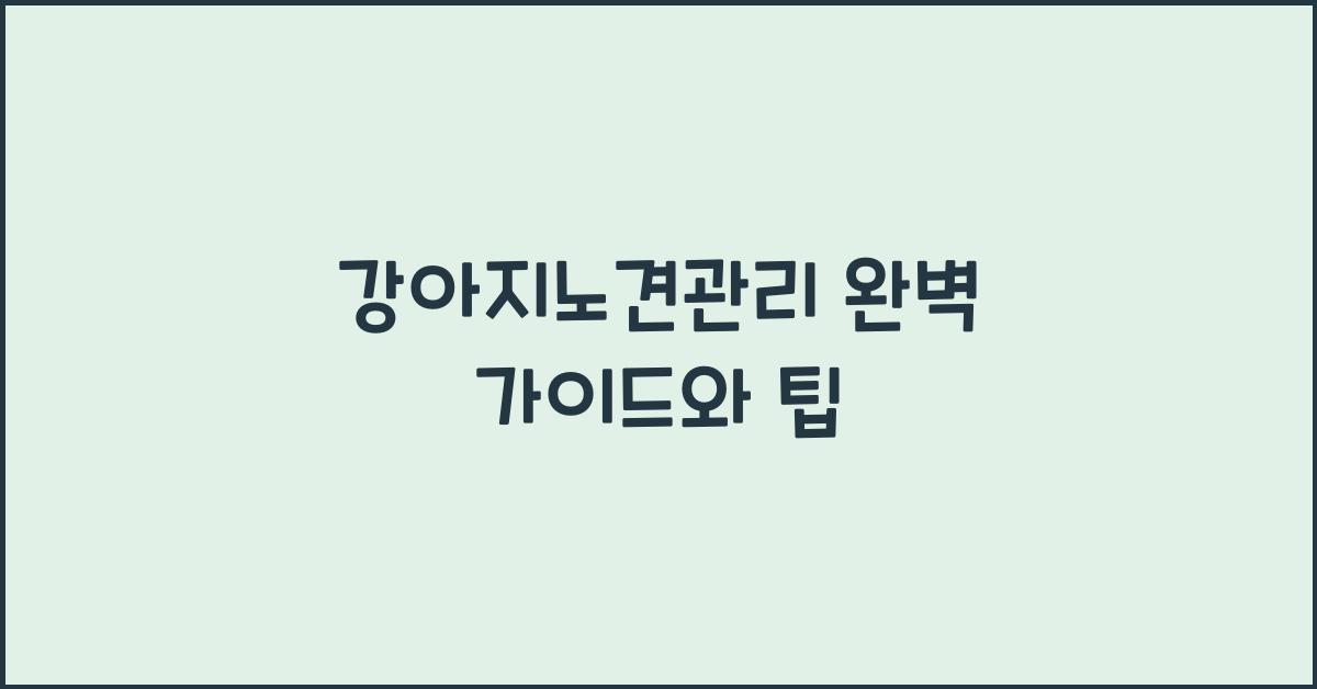 강아지노견관리 완벽 가이드와 팁