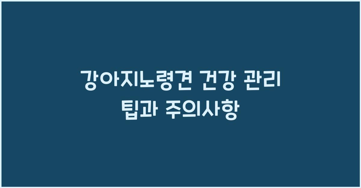 강아지노령견 건강 관리 팁과 주의사항
