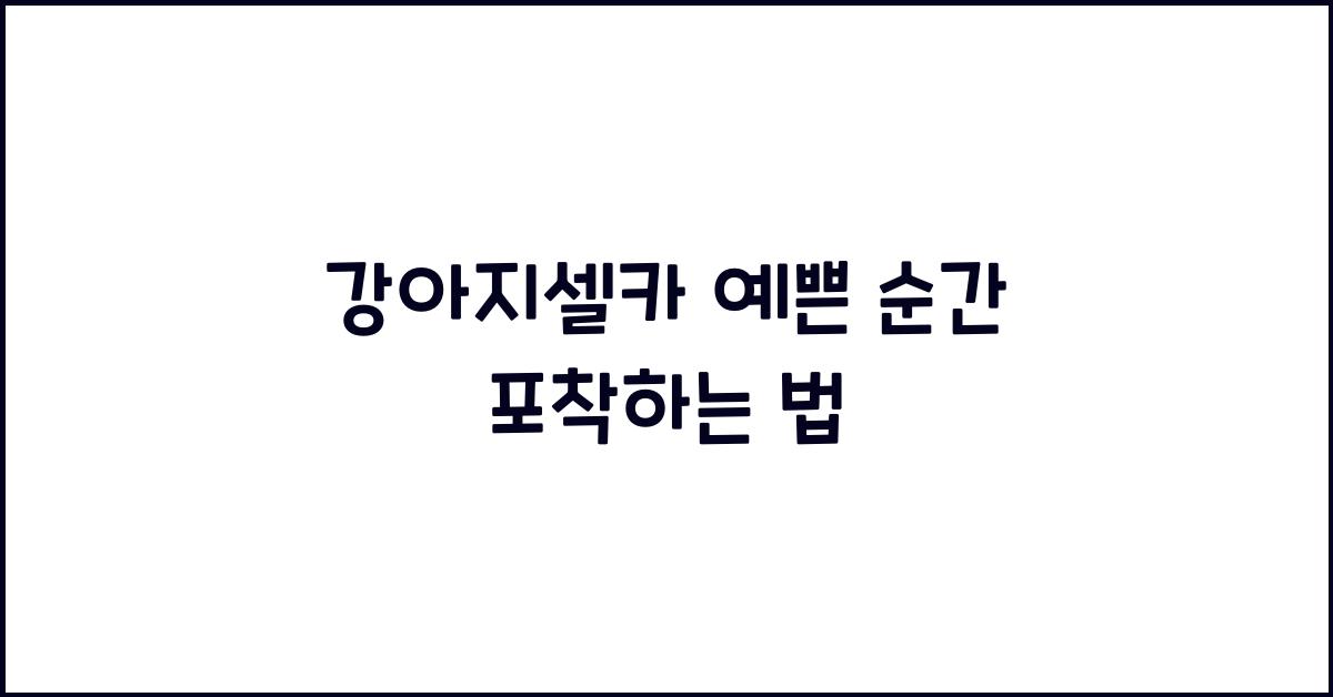 강아지셀카 예쁜 순간 포착하는 법