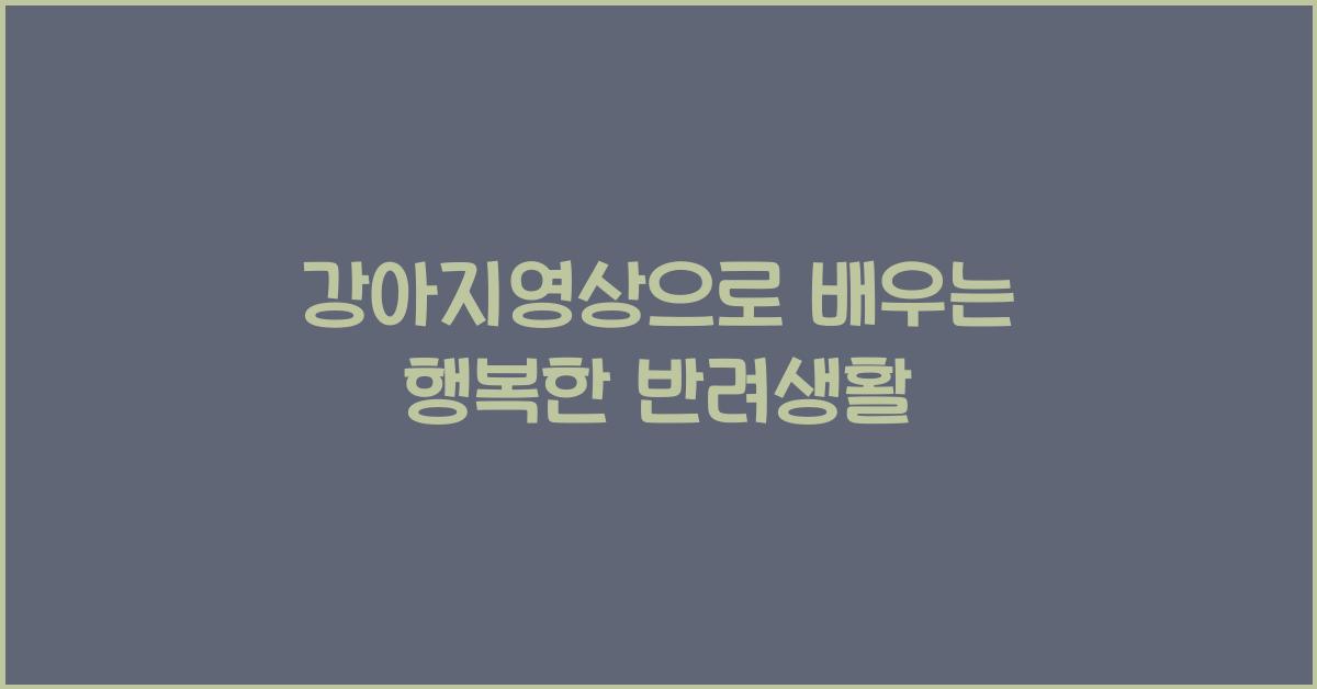 강아지영상으로 배우는 행복한 반려생활