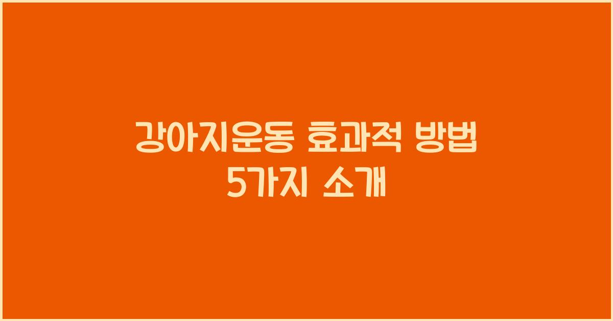 강아지운동 효과적 방법 5가지 소개