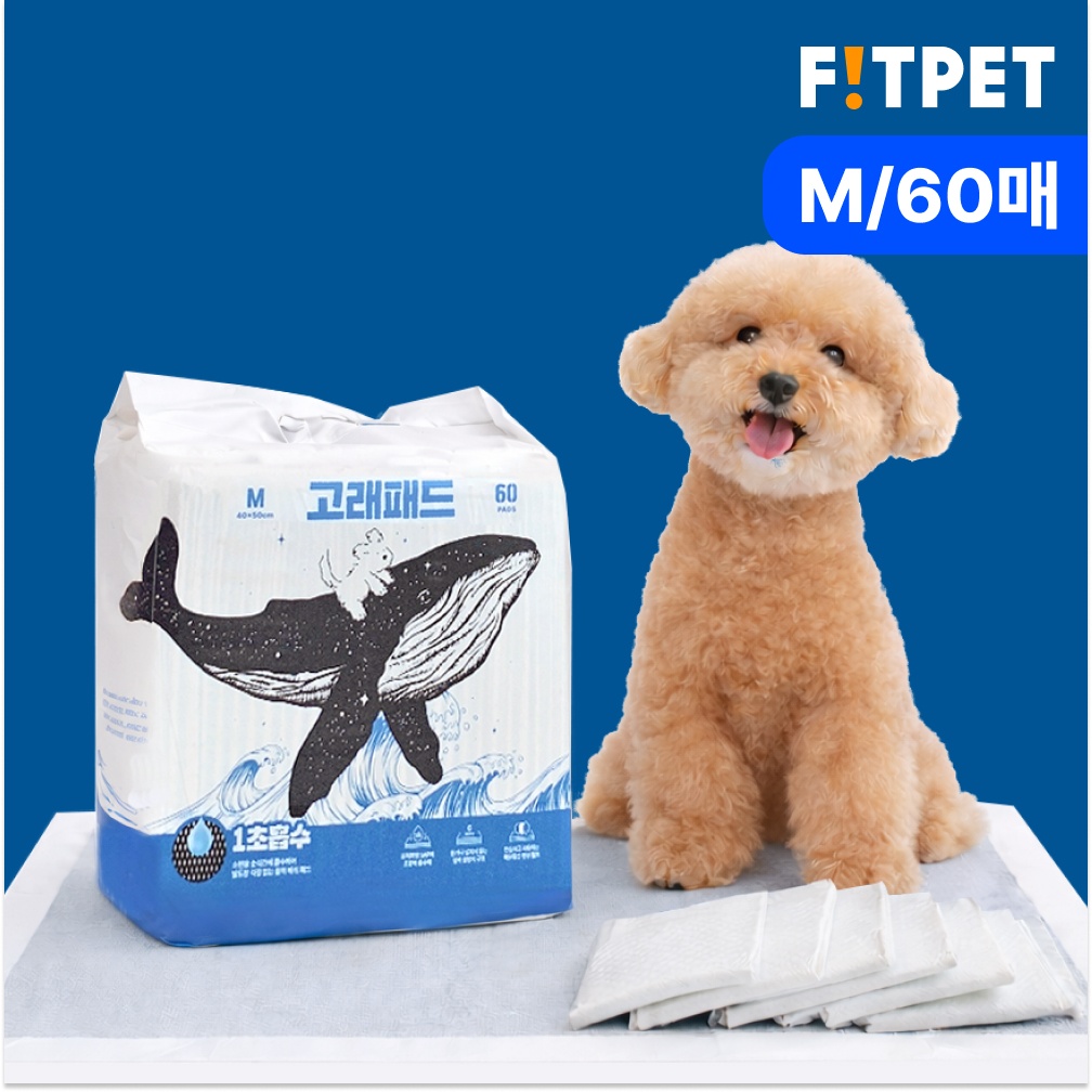 강아지 두꺼운 배변 패드, 필수템으로 뽑힌 이유는?