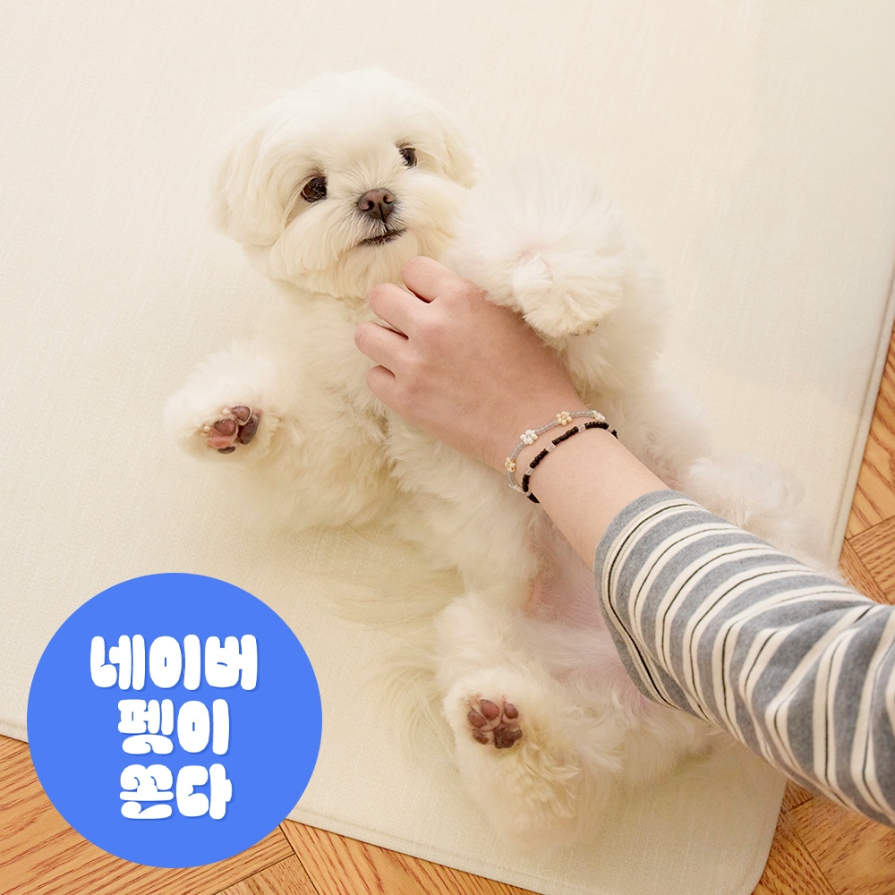 [러그140x180cm] 디팡 4mm 펫 미끄럼방지 강아지 고양이 애견매트 슬개골 반려견 솔직 사용 후기