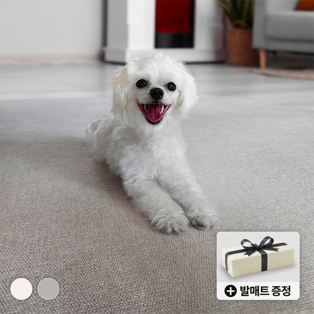 “펫러그 강아지러그 애견미끄럼방지매트” 후기, 완벽한 선택이었습니다
