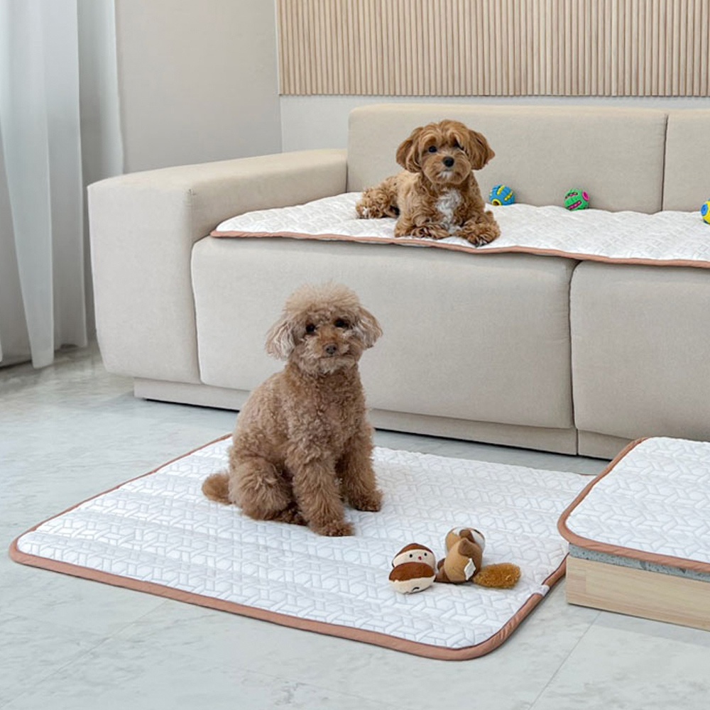 강아지 고양이 쿨매트, 여름 필수템 투인플레이스 솔직 사용 후기
