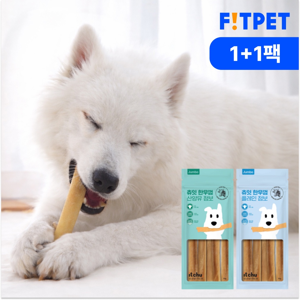 “츄잇 대형견 한우껌 1+1 강아지 간식” 추천템, 장단점 총정리