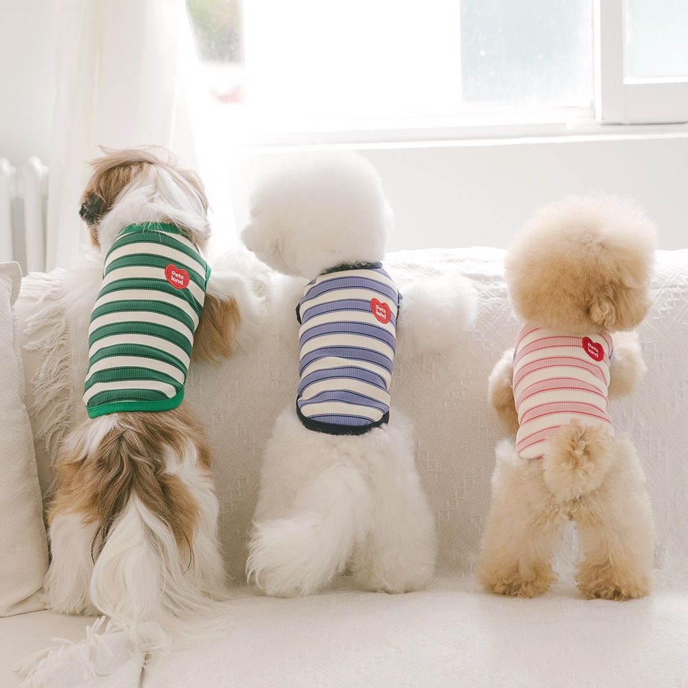강아지 옷 애견 소형견 실내복 티셔츠 데일리하트 솔직 사용 후기