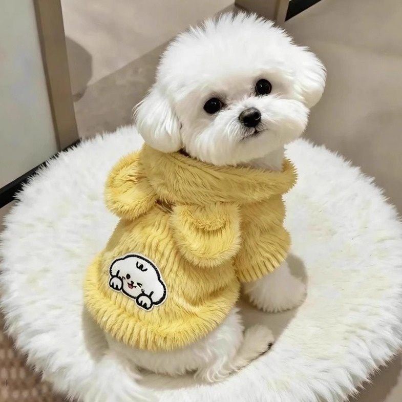 기모 후드티 강아지 보온 포켓 겨울옷 소형견 후기, 진짜 필수템으로 인정