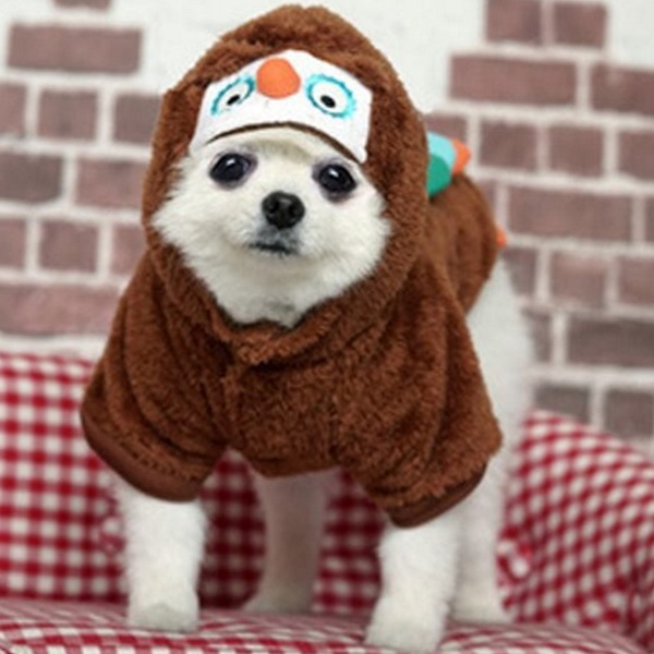 “부엉이 강아지 후드 티 플리스 강아지 후드 티셔츠 소형견 가을” 추천템 엄마들이 선택한 이유