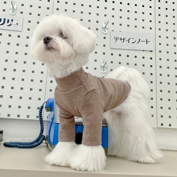 “소형견 필수템 무지티셔츠 강아지 터틀넥 티셔츠 솔직 사용 후기”