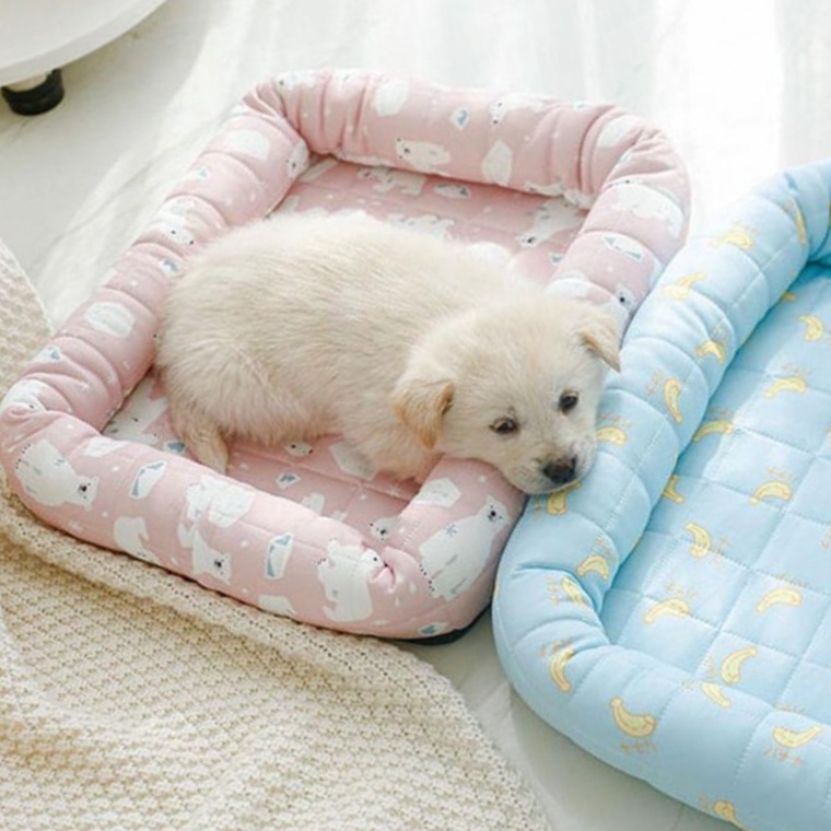 여름 필수템 반려동물 쿨방석 강아지 고양이 쿠션 침대 솔직 후기