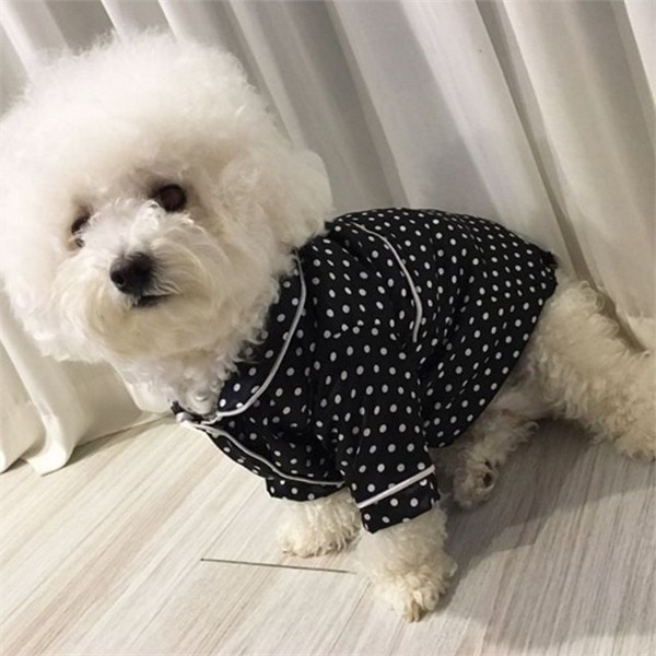 “파자마 강아지 잠옷 실내복, 소형견 중형견 대형견 모두에게 필수템”